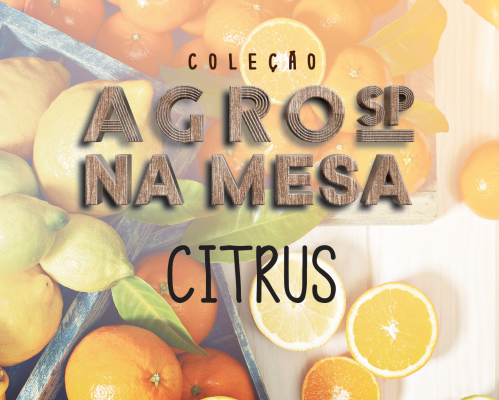 Artigos (CESANS) - Codeagro